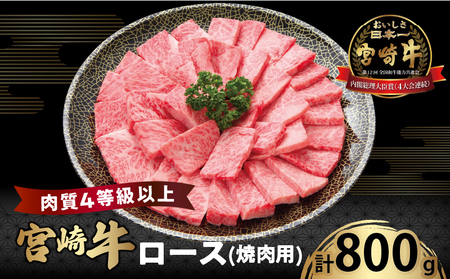 {苍[X(ēp)v800g    Y_T050-004