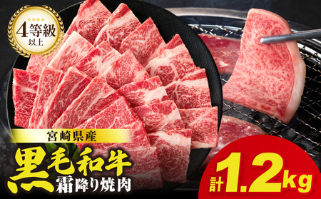 y101񕍊zzY҉4ȏ{茧Yјa~茨[X(ē)v1.2kg     Y_T030-194
