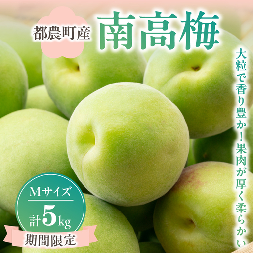 先行予約≪期間限定≫都農町産「南高梅(Mサイズ)」計5kg 梅 梅干し 果物 国産_T008-011