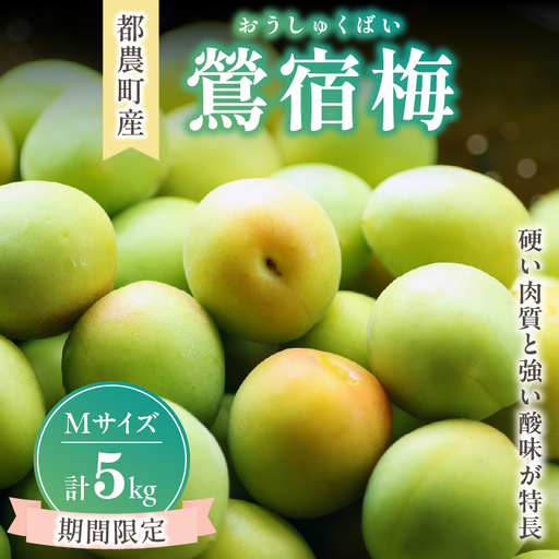 先行予約≪期間限定≫都農町産「鶯宿梅(Mサイズ)」計5kg 梅 梅干し 果物 国産_T008-013