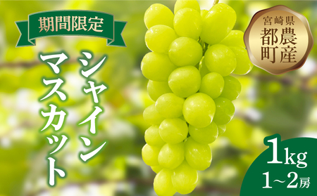 先行予約≪期間限定≫都農町産シャインマスカット(計1kg) ぶどう 果物 国産