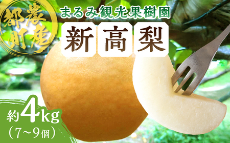 先行予約≪期間限定≫まるみ観光果樹園の『新高梨』(約4kg) なし 果物 フルーツ 天然 ミネラル栽培