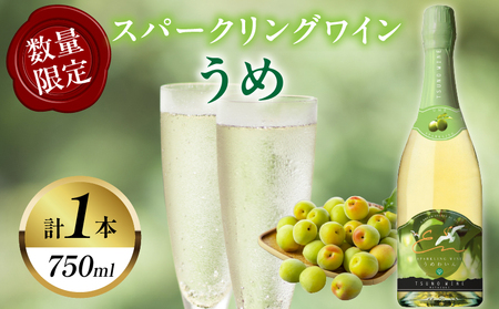 [数量限定]スパークリングワインうめ(計1本) 酒 飲料 アルコール 国産