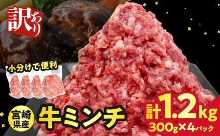 y2TԈȓz󂠂{茧Y~` v1.2kg(300g×4pbN)    Y_T025-042