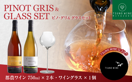 先行予約≪数量限定≫都農ワイン ピノグリ2本&グラスセット 酒 飲料 アルコール 国産 ロナ
