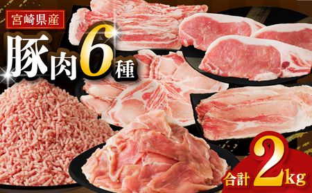 [2週間以内発送]≪宮崎県産≫豚肉6種＼てげスゲーセット/合計2kg 肉 豚 豚肉 おかず 国産_T009-030-2W