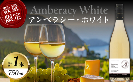 【数量限定】アンベラシー ホワイト(計1本) ワイン 酒 アルコール 国産_T014-0485