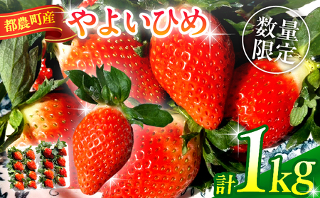 s\s_Yu悢Ђ߁vv1kg t[c ʕ fU[g C`S Y_T059-002