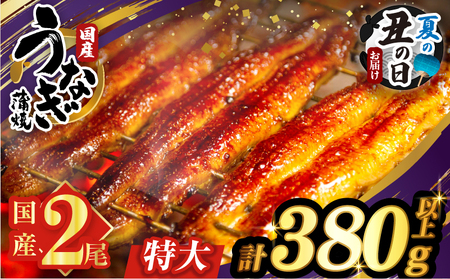 [夏の丑の日までにお届け!!]うなぎ蒲焼特大2尾(さんしょう・たれ付き)計380g以上 鰻 魚 魚介 加工品 国産_T026-0065-US2