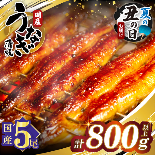 【夏の丑の日までにお届け!!】うなぎ蒲焼5尾(さんしょう・たれ付き)計800g以上 鰻 魚 魚介 加工品 国産_T026-0035-US2