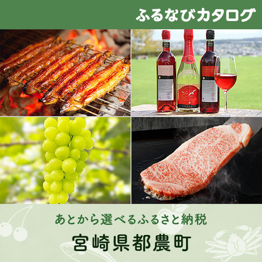 【有効期限なし！後からゆっくり特産品を選べる】宮崎県都農町カタログポイント