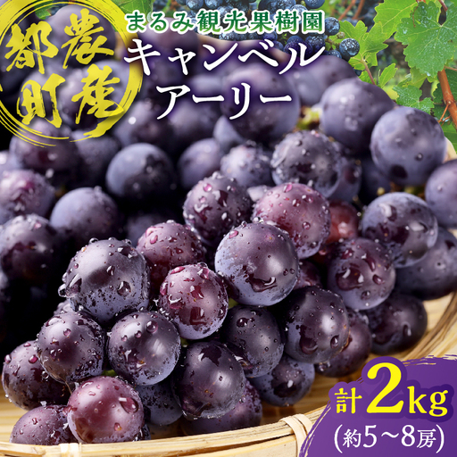 まるみ果樹園のぶどう『キャンベルアーリー』(計2kg) 葡萄 果物 フルーツ 天然 ミネラル栽培_T036-003