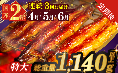 ≪定期便全3回≫4月・5月・6月お届け!!うなぎ蒲焼 特大2尾 (総重量1.14kg以上) 鰻 魚 魚介 加工品 国産