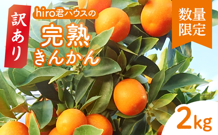 先行予約≪数量限定≫訳ありhiro君ハウスの『完熟きんかん(計2kg)』フルーツ 果物 金柑 国産_T022-003[甘露煮 金柑 きんかん くだもの デザート 産地直送 キンカン 果実 甘い お取り寄せ 贈答 宮崎県産 都農町産]