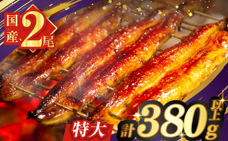 [2週間以内発送]うなぎ蒲焼特大2尾(さんしょう・たれ付き)計380g以上 鰻 魚 魚介 加工品 国産_T026-006-2W