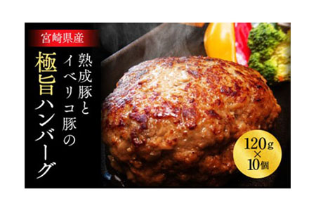 A301　宮崎県産熟成豚とイベリコ豚の極旨ハンバーグ120g×10個