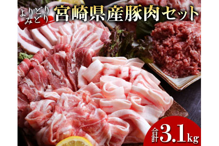 AD21　よりどりみどり宮崎県産豚肉セット(合計3.1kg)