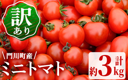 [先行予約受付中!4月から順次発送予定]訳あり・規格外!数量限定の門川町産ミニトマト(計約3kg)フルーツトマト とまと 野菜 キャロルパッション サンチェリーピュア プレミアムルビー アイコ ミックス 生 旬野菜 冷蔵[X-10][いけとも農園]