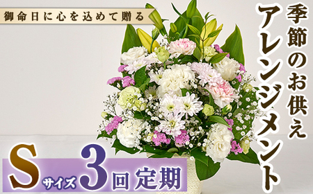 [定期便・3回(連続)]季節のお供え用アレンジメント(生花:Sサイズ)生花 お花 花束 フラワー 植物 お供え 供花 仏花 命日 仏事 法事 贈り物[FM-20][フラワーショップまつだ]