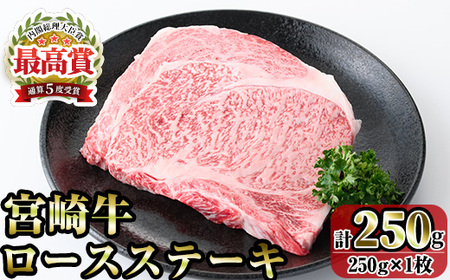 宮崎牛ロースステーキ(250g) お肉 牛肉 黒毛和牛 ブランド和牛 冷凍 国産 焼肉 BBQ ステーキ [R-88][ミヤチク]