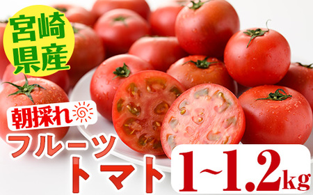 [期間限定]フルーツ トマト(1〜1.2kg) リコピン スライストマト サラダ 惣菜 生 野菜 とまと 料理 朝採れ 宮崎県 [KT-8][K.Tfarm]