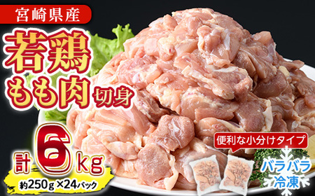 s\tI2025N10ɔ\聄{   ʓ(v6kgE250g×24P)   Ƃ ؐg Jbg ʓ IQFJbg Y {茧Y g g 炠 Ⓚ