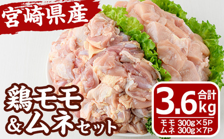 {茧Y {  ނ Zbg (v3.6kg) {  Ƃ  ؂g Jbg g 炠 Ⓚ  YyMF-63zyGt@[z