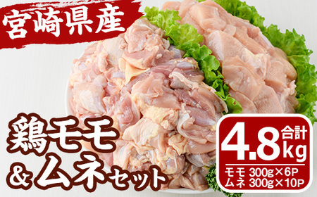 {茧Y {  ނ Zbg (v4.8kg) {  Ƃ  ؂g Jbg g 炠 Ⓚ  YyMF-64zyGt@[z