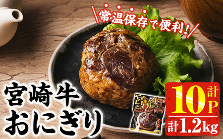 [2週間以内発送!] 宮崎牛 おにぎり (計1.2kg・120g×10P) 牛肉 ブランド牛 お弁当 レンジアップ 小分け 湯煎 個包装 おつまみ レトルト 常温 保存 ご当地 簡単調理[AP-79][株式会社 日向屋]
