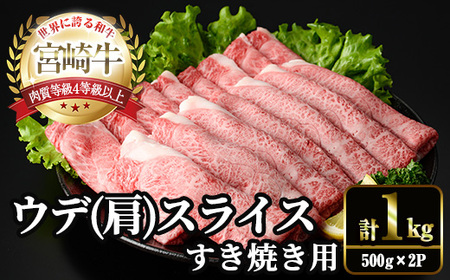 {苍 (Ef) XCX (v1kgE500g×2P) Ă   јa {苍 uha Ⓚ Y  Ef XCX {茧Y Ԃ yYM-14zyYAMATOЁz