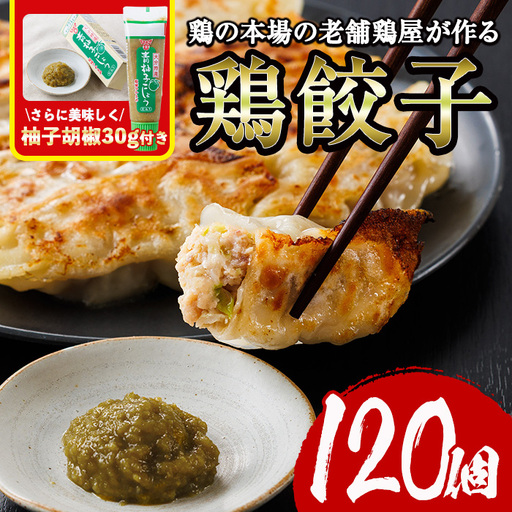 鶏の本場の老舗鶏屋が作る味鶏の餃子セット (計120個・1Pあたり12個入・柚子胡椒30g付き！) 鶏餃子 餃子 鶏肉 ぎょうざ おかず お惣菜 おつまみ 冷凍【V-72】【味鶏フーズ】