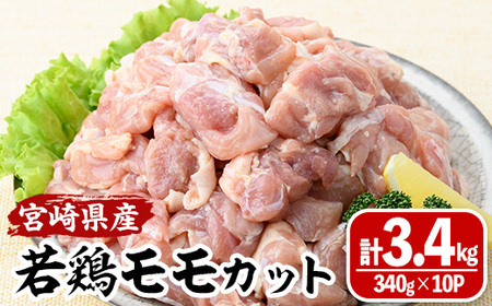 {茧Y{Jbg(v3.4kgE340g×10P)  {  Ƃ Ⓚ   Jbg 炠 {茧 쒬 yMA-09zyЃ}~XgAz