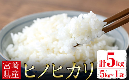 [先行予約受付中!2025年10月中旬以降順次発送予定]宮崎県門川町産ヒノヒカリ(5kg×1) お米 精米 白米 ごはん ご飯 ひのひかり 皇室献上米[KM-3][神舞農園]