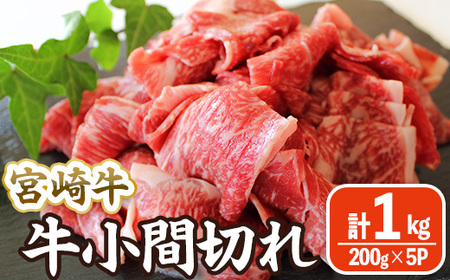 宮崎牛 小間切れ (計1kg・200g×5) 牛肉 精肉 お肉 黒毛和牛 ブランド和牛 切り落とし こま肉お取り寄せ 冷凍 国産 宮崎県 [MA-11][株式会社マルミヤストア]