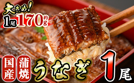 国産 うなぎ 蒲焼 (約170g×1尾) 鰻 タレ かば焼き うな重 うな丼 ひつまぶし 小分け 真空包装 真空パック [AW-89][丸正水産]