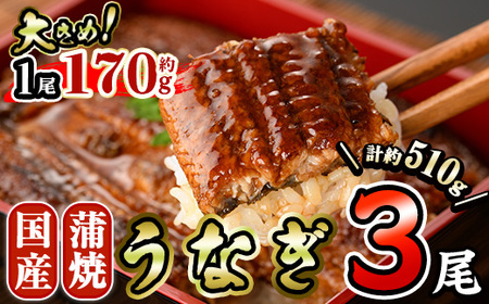 Y Ȃ  (170g×3) V ^ ΏĂ ȏd Ș Ђ܂Ԃ  ^ ^pbN yAW-90zyېYz