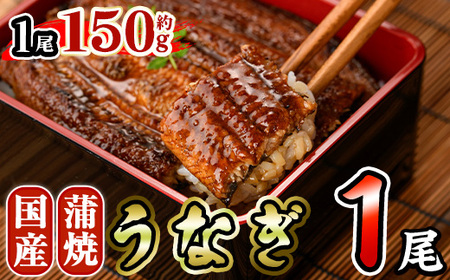 国産 うなぎ 蒲焼 (約150g×1尾) 鰻 タレ かば焼き うな重 うな丼 ひつまぶし 小分け 真空包装 真空パック [AW-91][丸正水産]