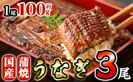 Y Ȃ  (100g×3) V ^ ΏĂ ȏd Ș Ђ܂Ԃ  ^ ^pbN yAW-95zyېYz