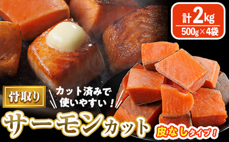 ����� ��Ȃ� �T�[���� �J�b�g(�v2kg�E500g×4��) �� �_�C�X�J�b�g ������ ���Ƃ� ���Ȃ� ������ �J�b�g�� �ȒP �� �Ⓚ ���ٓ� ������ �yAW-80�z�y�ې����Y�z