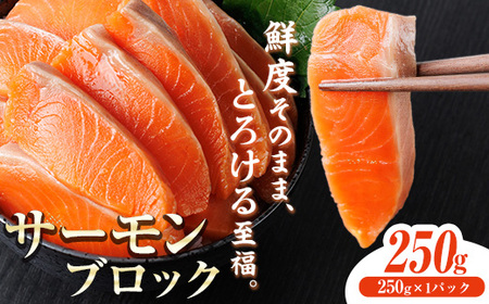生食用 サーモン ブロック(250g×1P) 鮭 小分け 真空 パック 冷凍 刺身 シャケ サケ 魚 魚介 [AW-97][丸正水産]