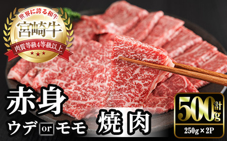 宮崎牛 赤身カット 焼肉 (計500g・250g×2) 焼肉 お肉 牛肉 黒毛和牛 宮崎牛 ブランド和牛 冷凍 国産 モモ ウデ 宮崎県産 [YM-20][YAMATO株式会社]