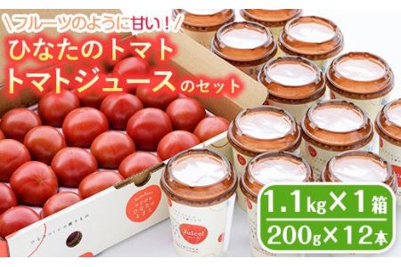 期間限定!ひなたのとまと(計1.1kg)とトマトジュース(200g×12本)セットトマト フルーツトマト 糖度 9度 以上 野菜 旬野菜 冷蔵 国産 宮崎県産[A-6][新門トマト農園]