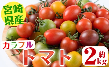 [先行予約受付中!2024年11月〜5月の間に順次発送予定・期間限定]カラフルトマト食べ比べセット(約2kg・9品種の中から4品種以上)国産 宮崎県産 とまと 野菜 サラダ 黄色 オレンジ みどり 紫 アイコ 赤 セレブスイート[KT-2][K.TFarm]