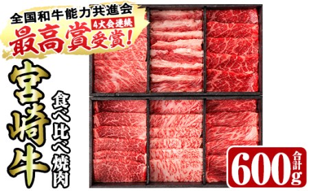 ＜宮崎牛・3D冷凍＞6部位食べ比べ焼肉(合計600g)牛肉 肉 ロース バラ モモ ヒレ ウデ セット 黒毛和牛 BBQ 国産 冷凍 宮崎県 門川町【R-27】【株式会社ミヤチク】