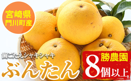 ����s�\���t���I2026�N2�`4�����̊Ԃɔ����\�聄�{�茧��쒬�Y���U��Ԃ񂽂��(8�ȏ�) ���k �ʕ� ���ʌ��� ���Ԍ��� ���Y �t���[�c �퉷 �ۑ� �������� �yAE-17�z�y���_���z