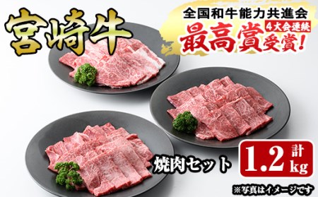 【R-55】宮崎牛焼肉セット(合計1.2kg)ウデ焼肉(400g)モモ焼肉(400g)バラ焼肉(400g)【ミヤチク】