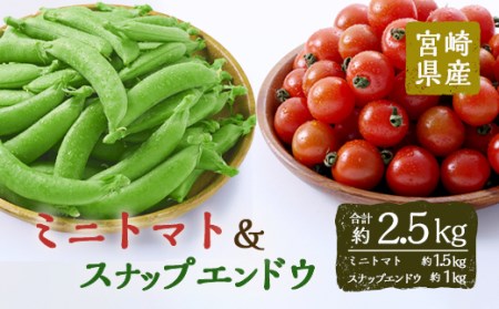 [先行予約受付中!2026年2月下旬〜4月上旬の間に発送予定][期間限定]ミニトマト(約1.5kg)とスナップエンドウ(約1kg)野菜 とまと えんどう豆 フルーツトマト サンチェリーピュア ダルタリー アイコ サラダ[GF-3][グーファーム]