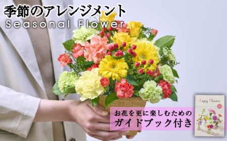 季節のお楽しみフラワーアレンジメント(生花:Sサイズ)生花 花 花束 植物 贈り物 インテリア[FM-2][フラワーショップまつだ]