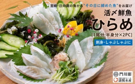 [北海道・離島配送不可]新鮮!活〆ヒラメのお刺身(1尾分:約300g〜400g)お刺し身 しゃぶしゃぶ 魚介 海鮮 ひらめ 活き締め 真空パック[AP-35][日向屋]