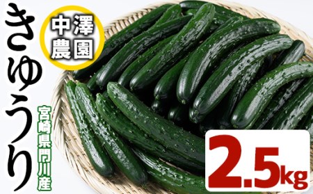 宮崎県産きゅうり(2.5kg)野菜 やさい サラダ 胡瓜 漬物 キムチ 冷蔵[NS-2][中澤農園]